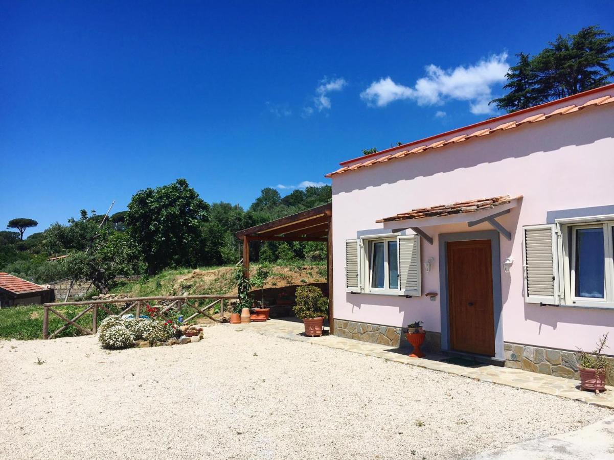 Albero di Giada Villa Massa Lubrense Bagian luar foto